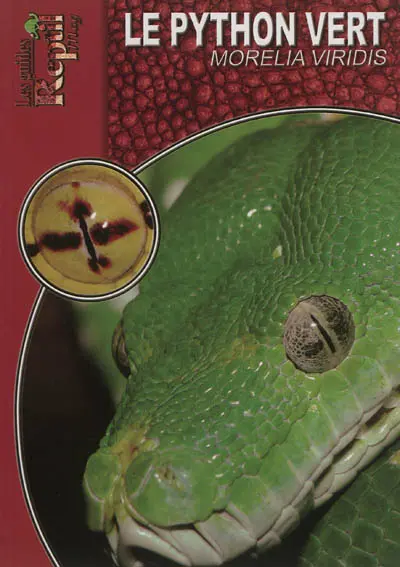 Le python vert arboricole : Morelia viridis
