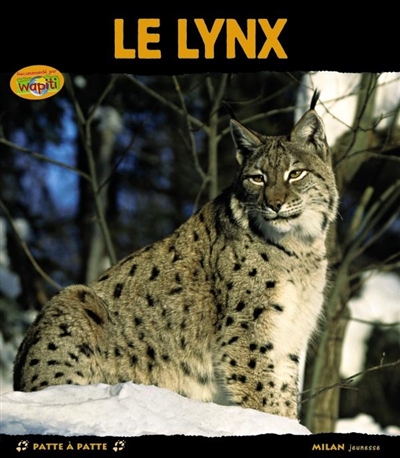 Le lynx, chasseur solitaire