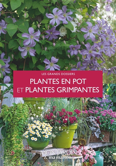 Plantes en pot et plantes grimpantes