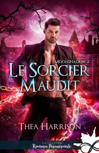 Le sorcier maudit : Moonshadow, T2