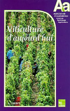 Viticulture d'aujourd'hui