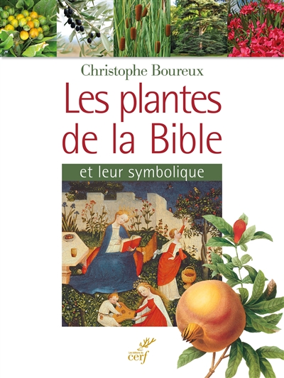 Les plantes de la Bible et leur symbolique