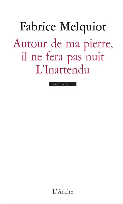 Autour de ma pierre, il ne fera pas nuit. L'inattendu