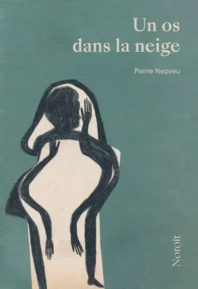Un os dans la neige