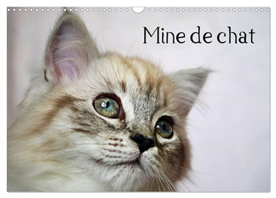 Mine de chat (Calendrier...