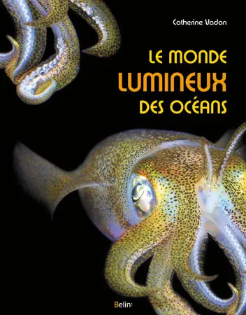 Le monde lumineux des océans