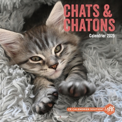 Calendrier mural chats et...