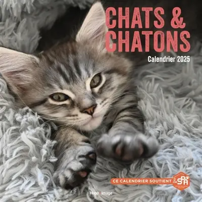 Calendrier mural chats et chatons 2025