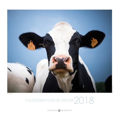 Fous de vaches : calendrier 2018