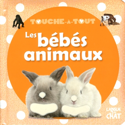 Les bébés animaux