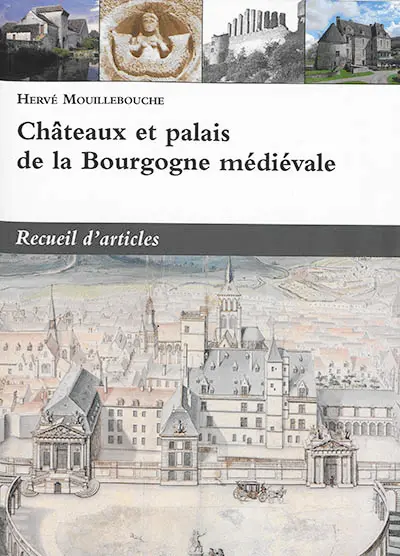 Châteaux et palais de la Bourgogne médiévale : recueil d'articles