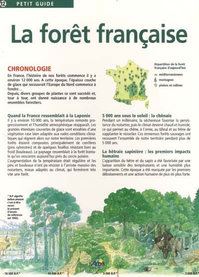 La forêt française