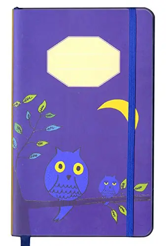 Mon carnet de notes hiboux