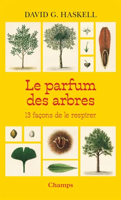 Le parfum des arbres : 13 façons de le respirer