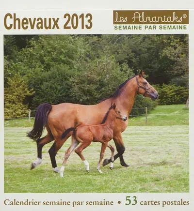 Chevaux 2013 : calendrier semaine par semaine : 53 cartes postales