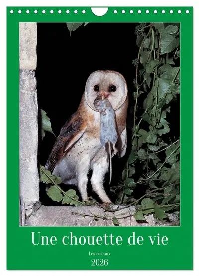 Une chouette de vie, les oiseaux (Calendrier mural 2026 DIN A4 horizontal), CALVENDO calendrier mensuel : Les chouettes qui peuplent notre environnement