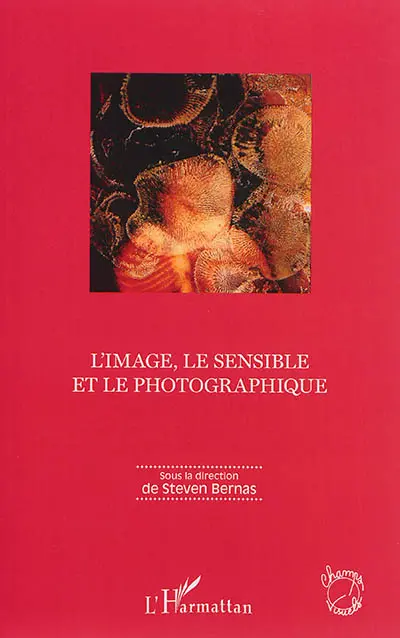 L'image, le sensible et le photographique