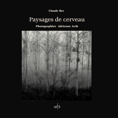 Paysages de cerveau