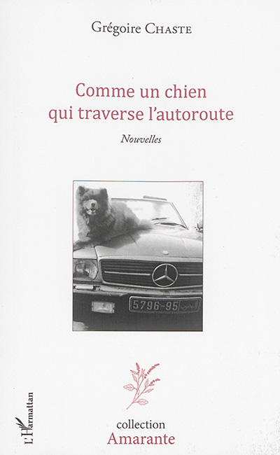 Comme un chien qui traverse l'autoroute