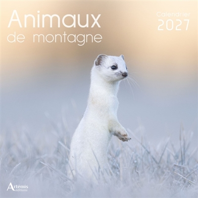 Animaux de montagne :...