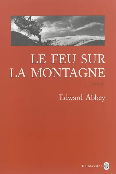 Le feu sur la montagne
