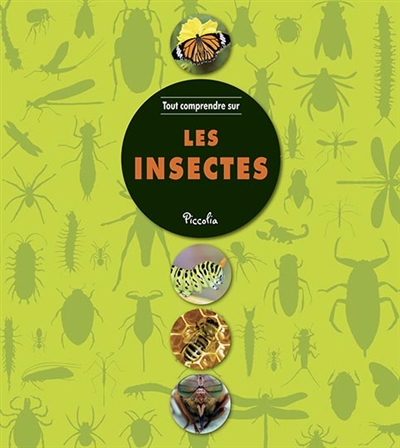 Tout comprendre sur Les insectes