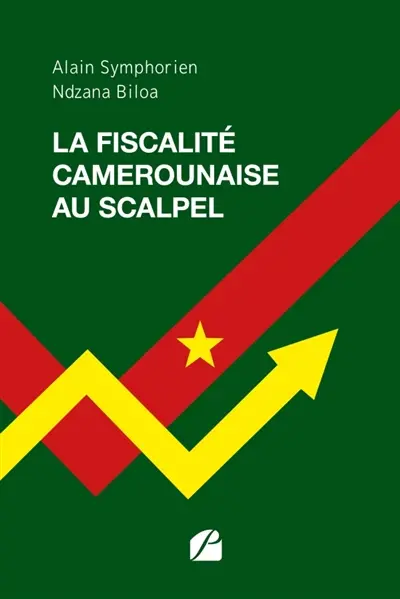 La fiscalité camerounaise au scalpel