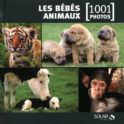 Les bébés animaux 1001 photos