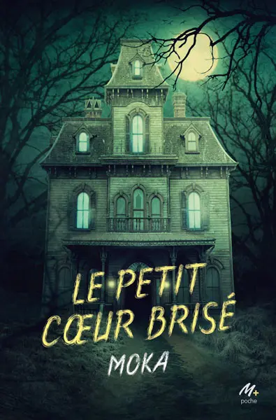 Le petit coeur brisé