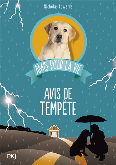 Avis de tempête