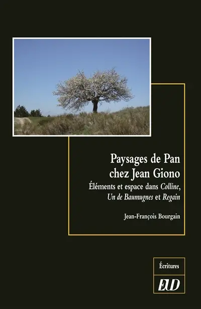 Paysages de Pan chez Jean Giono : éléments et espace dans Colline, Un de Baumugnes et Regain