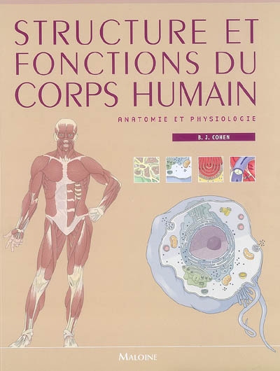 Structure et fonctions du corps humain : anatomie et physiologie