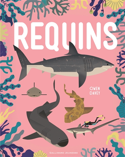 Requins