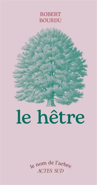 Le hêtre