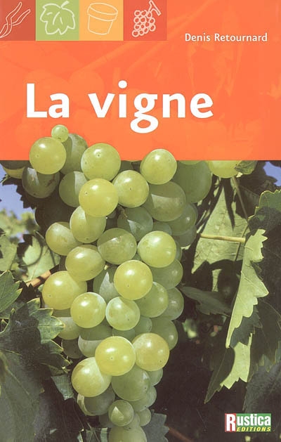 La vigne : le choix des cépages, la taille, les soins