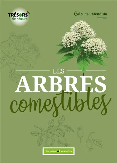 Les arbres comestibles : les identifier et les cuisiner