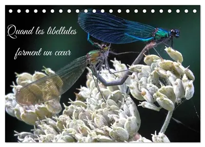Quand les libellules forment un cœur (Calendrier de bureau 2026 DIN A5 vertical), CALVENDO calendrier mensuel : Le cœur des libellules pendant leur accouplement
