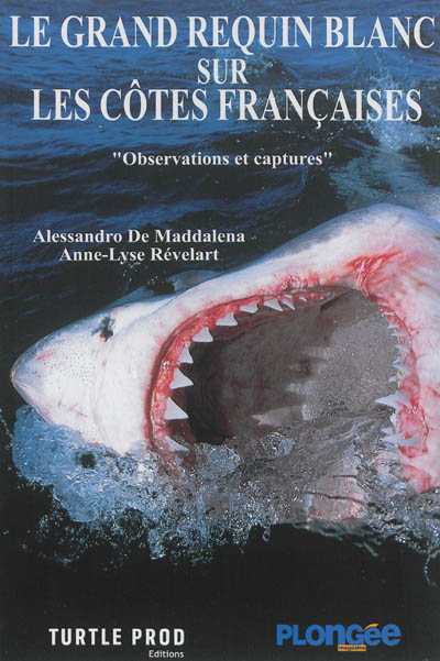 Le grand requin blanc sur les côtes françaises : observations et captures