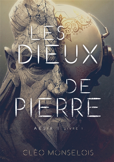 Les Dieux de Pierre : Aesir : Livre 1