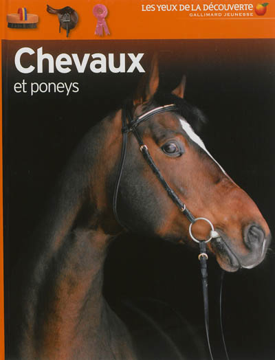 Chevaux et poneys