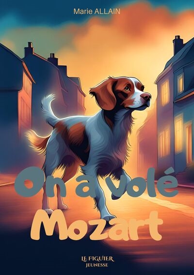 On a volé Mozart