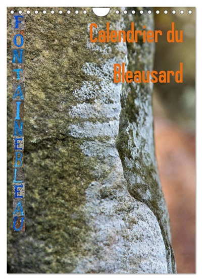 Calendrier du Bleausard (Calendrier mural 2026 DIN A4 horizontal), CALVENDO calendrier mensuel : Le calendrier de tous les grimpeurs fans d'escalade à Fontainebleau