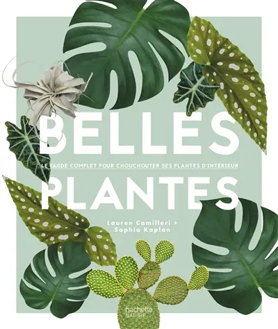 Belles plantes : le guide complet pour chouchouter ses plantes d'intérieur