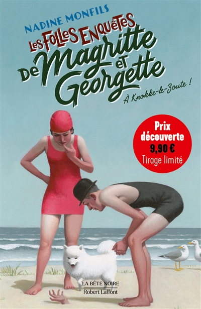 Les folles enquêtes de...
