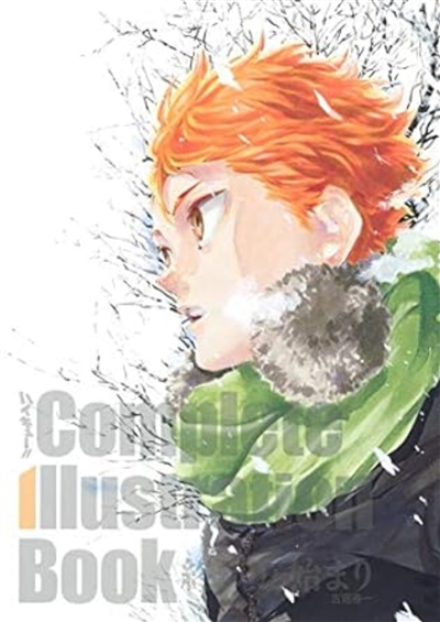haikyu !!, les as du volley : complete illustration book : fin & début