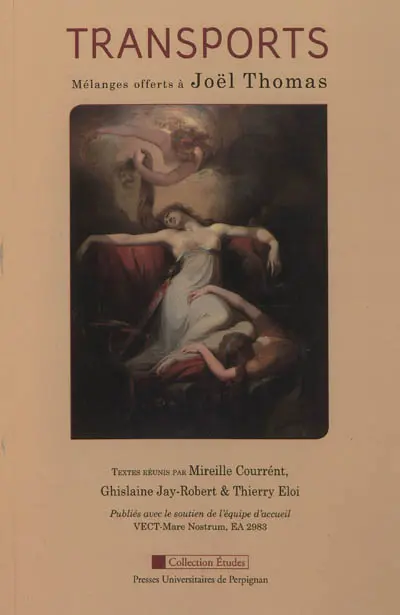 Transports : mélanges offerts à Joël Thomas