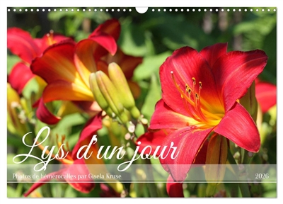 Lys d'un jour (Calendrier...