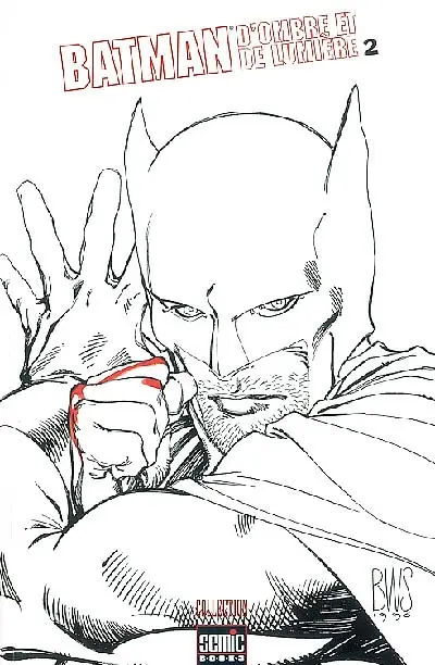 Batman : d'ombre et de lumière. Vol. 2