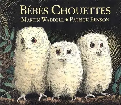 Bébés chouettes