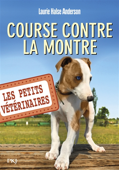 COURSE CONTRE LA MONTRE